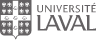 Simulations interactives pour étudiants en administration - Logo Université Laval